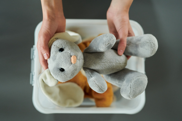 A man puts light grey teddy bunny with black eyes with two hands in a plastic container with other stuffed toys