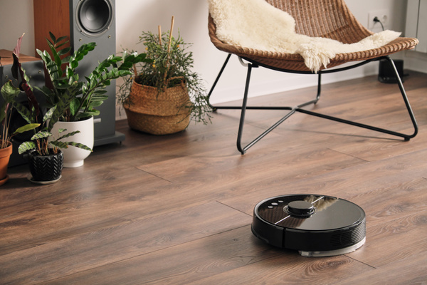A black robot vacuum cleaner cleans the parquet floor in the living room with flowers and a wicker chair