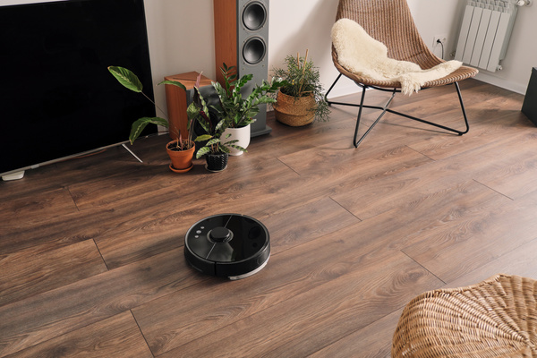 A black robot vacuum cleaner vacuums the parquet floor in the living room with flowers and a wicker chair