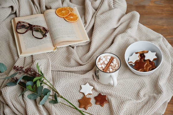 A composition of spiced cocoa with marshmallows bowl with gingerbread in glaze and a book on which glasses and dried slices of orange lie on a blanket with sprigs of green plants