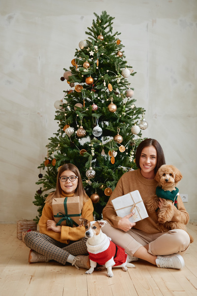 Mom and daughter are sitting on the floor with dogs in knitted suits and holding gifts against the background of a Christmas tree in a bright room