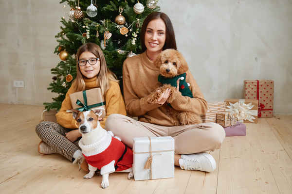 Christmas photo of mom and her daughter with gifts sitting at the Christmas tree with their pets in knitted suits