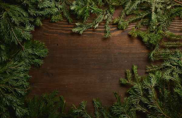 Spruce branches are laid out on a dark wood table framing the picture