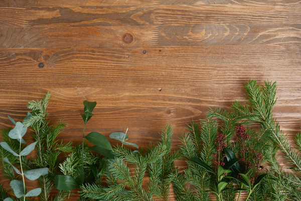 Christmas tree branches with other plants on a dark wood table