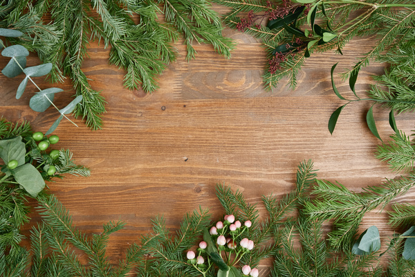 A composition of Christmas tree branches and flowers on a wooden surface framing the picture