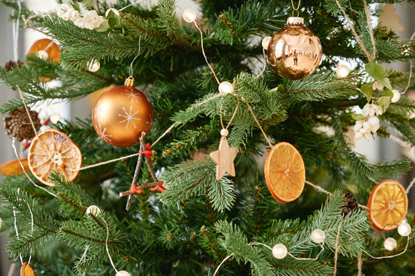 Christmas tree decorated in golden shades with baubles and slices of dried fruit garland and cones