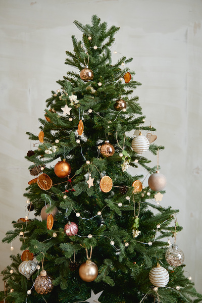 A magical Christmas tree richly decorated with baubles and garlands and dried oranges against a white wall