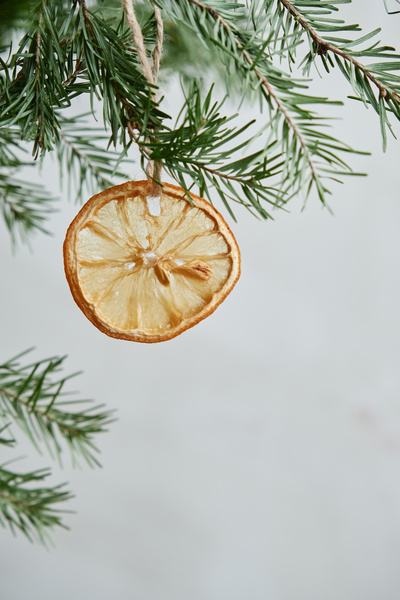 Dried citrus slice with stones on a twine decorates the branch of the Christmas tree