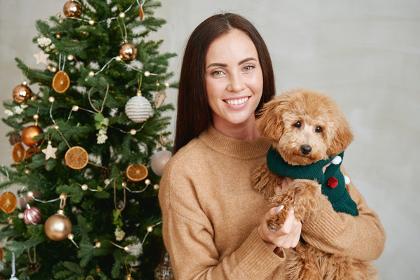 A woman with dark hair dressed in a sand-colored sweater holds a Maltipoo dog in a green knitted suit with pompoms standing against the background of a decorated Christmas tree