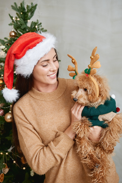 Christmas photo of a woman with dark hair dressed in a sandy-colored sweater and a red Santa hat with a Maltipoo dog in her hands in a green knitted suit with pompoms and a rim with deer antlers