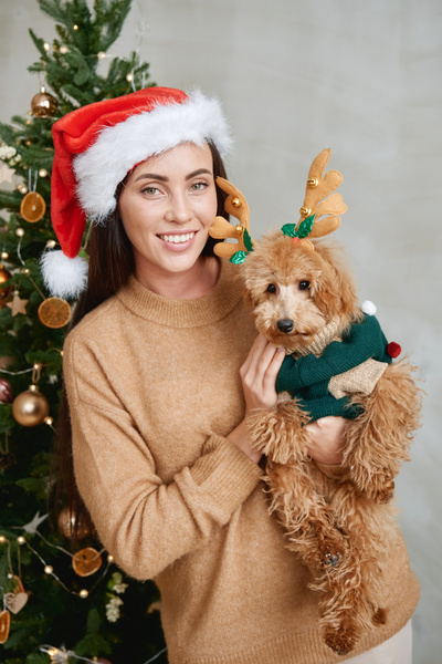 A woman with a Maltipoo in her hands in a green knitted suit with pompoms and a rim with deer antlers against the background of a Christmas tree