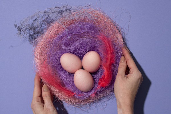 A decorative Easter composition of chicken eggs in a nest made of colorful materials with pink feathers on a purple surface is touched with hands
