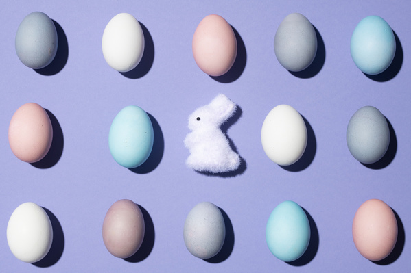 Top view of a toy white rabbit in the middle of Easter eggs of different colors arranged in rows on a purple background