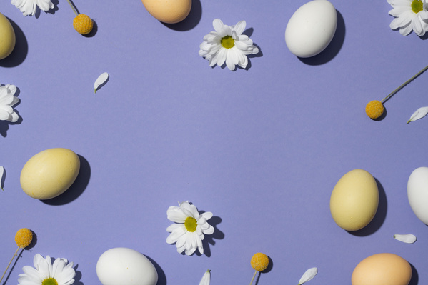 White and brown chicken eggs for Easter are put around with white daisies and yellow craspedias on a purple surface