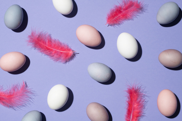 A flatlay of Easter eggs of different colors and pink feathers on a purple background