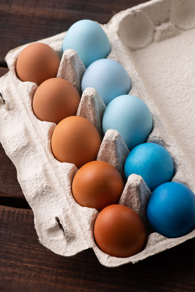 Easter eggs dyed blue and brown in a carton on a dark wood table