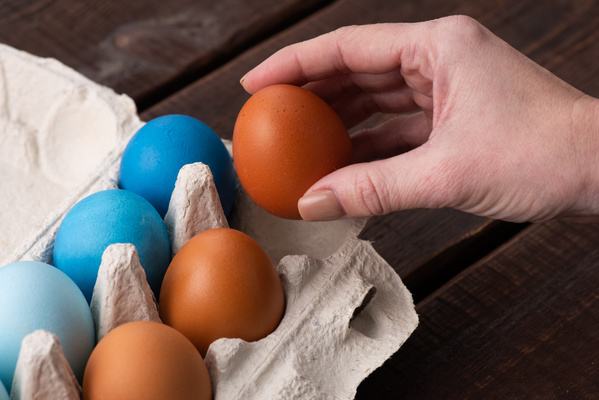 An egg from carton with blue and brown Easter eggs in a woman's hand