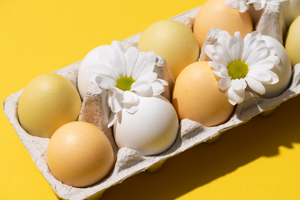 Carton of chicken Easter eggs decorated with white daisies on a yellow surface