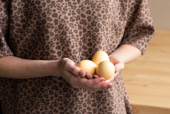 Chicken eggs for Easter of a yellowish hue are held with both hands by a woman in leopard print clothes