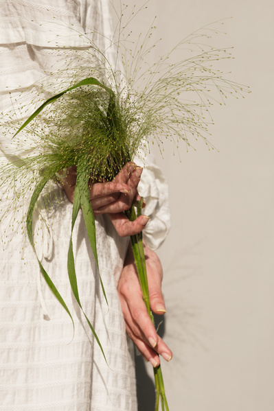Bouquet of green field panikum in the hand of a woman in a white dress