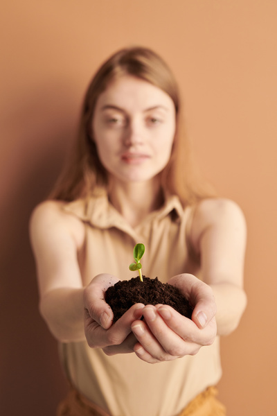 Close-up of a handful of earth with a seedling in the hands of a woman in beige clothes
