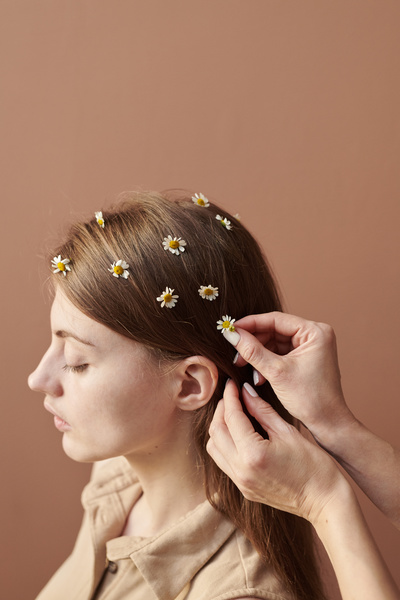 The hair of a beautiful woman is decorated with camomiles against a brown background