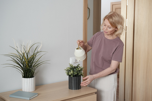 A Woman Watering House Plants