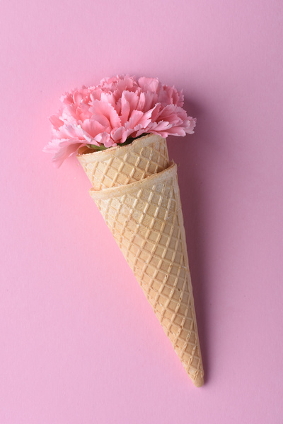 Pink Carnation in Waffle Cones