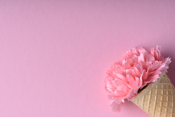 Close-up of a Carnation in a Waffle Cone