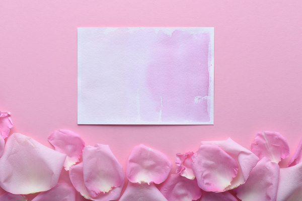 A purple romantic postcard and rose petals on a pink surface