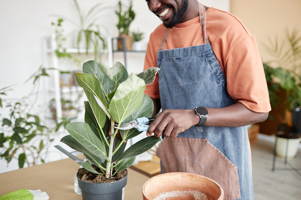 A Man Wearing an Apron Trimming a Plant in a Pot