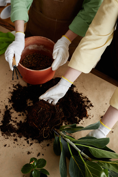Two People Wearing Gloves Digging in a Pot of Dirt