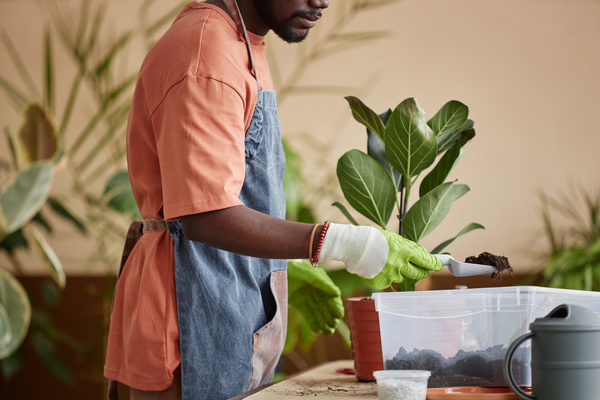 A Man in an Apron and Gloves Is Watering a Plant