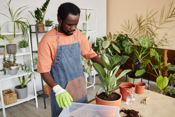 A Man in an Apron and Gloves Watering a Potted Plant