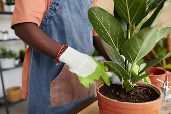 A Man Wearing Gloves Is Watering a Plant in a Pot